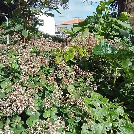 O Anexo Angra do Heroísmo