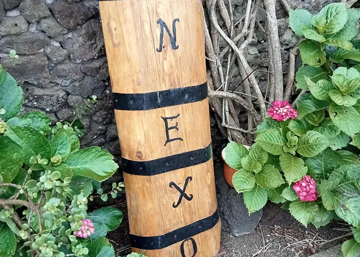 O Anexo Apartament *