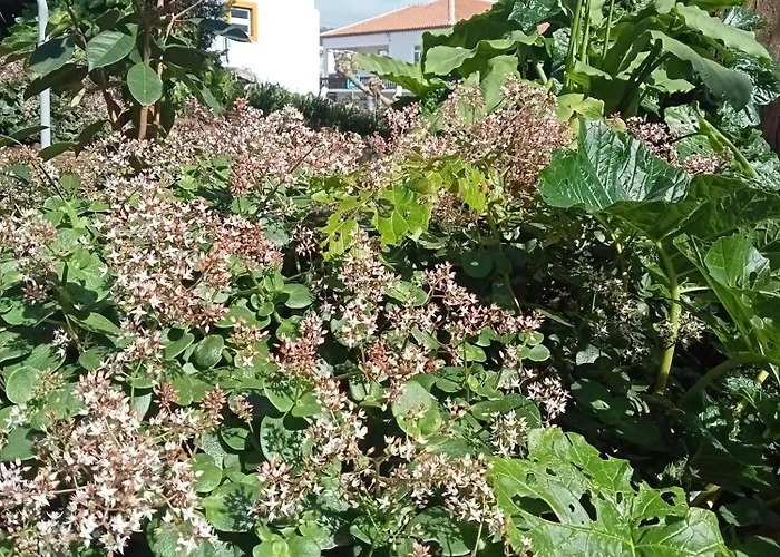 O Anexo Angra do Heroísmo