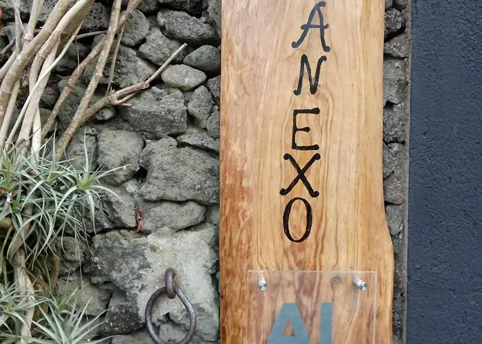 O Anexo Apartament *