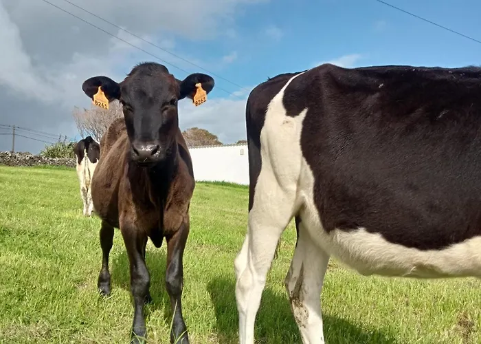 O Anexo Apartament Angra do Heroísmo