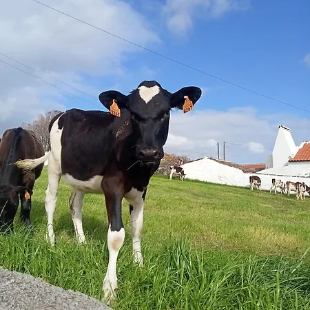 O Anexo Apartmán Angra do Heroísmo